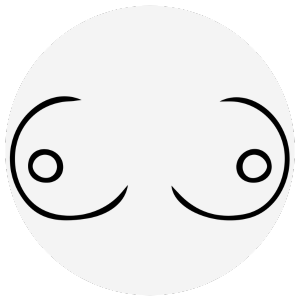 Prsa